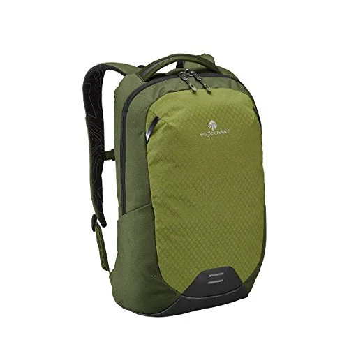 Eagle Creek Wayfinder 20L Backpack-multiuse-15in Laptop Hidden Tech Pocket Carry-On Luggage, Cypress/Highland Green